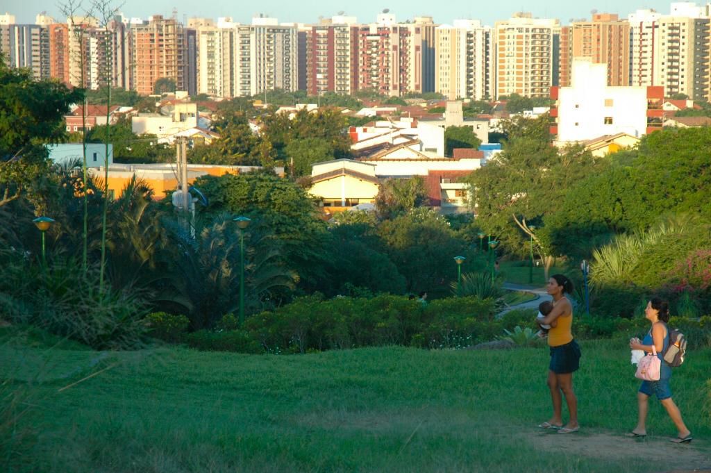 Geral Mata da Praia 02